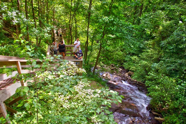 Amicalola Falls