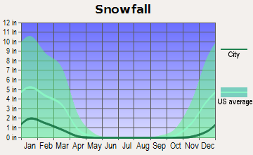 Fannin County  snow avg