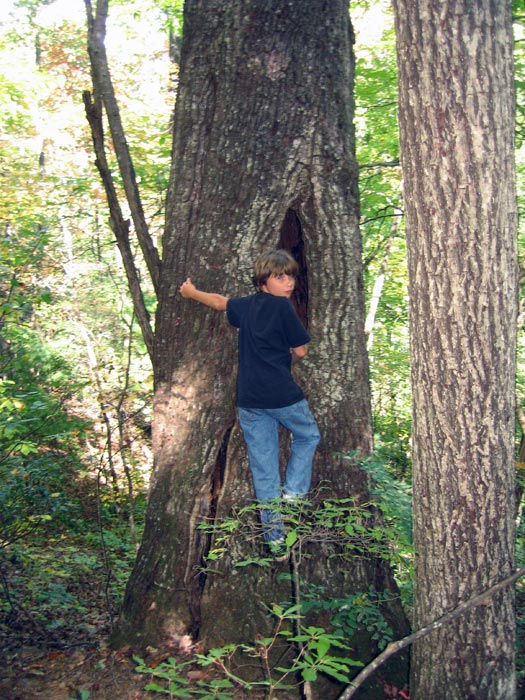 Blue Hole Falls Hiawasssee Georgia