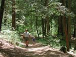 High-Shoals-Falls-trail-