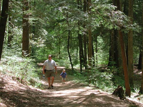 hiking trails of rich mountain wilderness