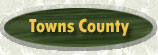 Towns County