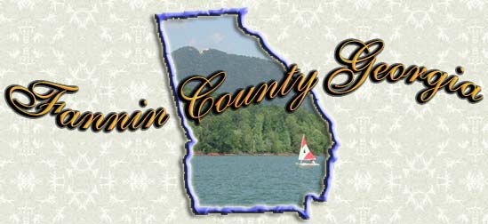 Fannin County 