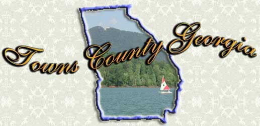 Towns County school stats