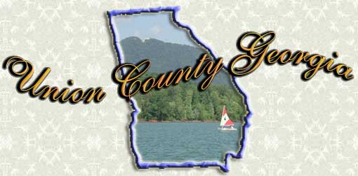 Fannin County 