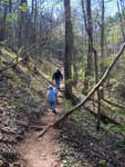 wooded hiking trail