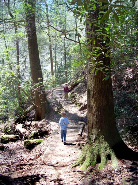 Helton Creek waterfall