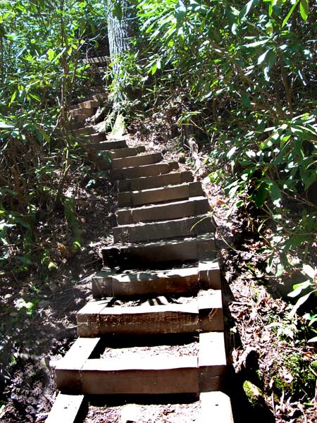 Helton Creek waterfall