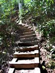 steps from lower waterfall back to trail