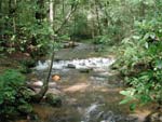 Horse trough falls creek