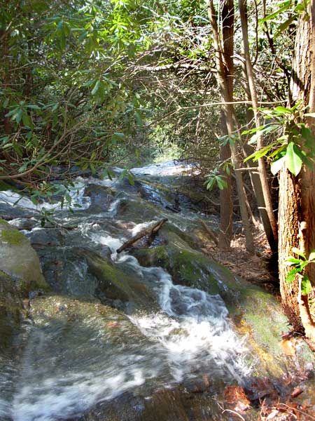 Joel Creek Waterfall