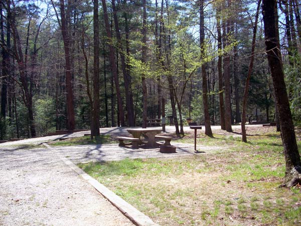 Vogel State Park